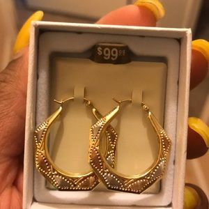 Beautiful never worn earrings!